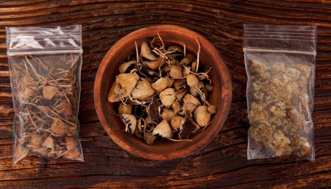 LSD and Psilocybin Mushrooms to Treat Depression and Anxiety